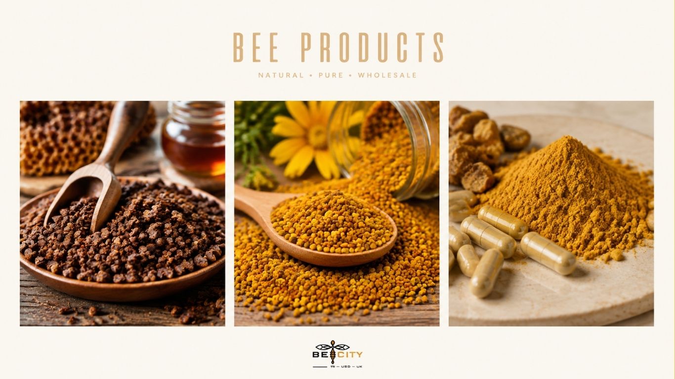 BeeCity Global apiary in Reddick, Florida